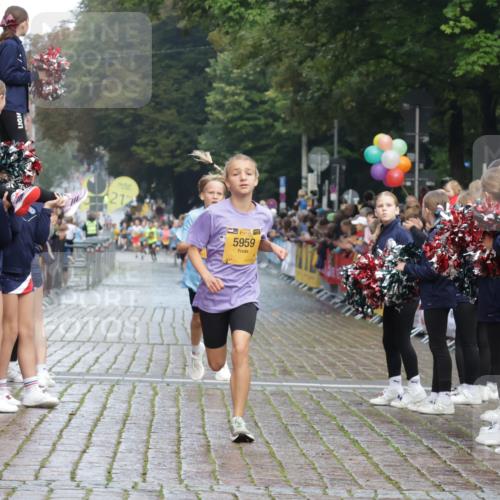 13.09.2026 - Kiel Lauf Yannick Fuchs http://msf.ph/oto/10277457 13.09.2026 08:50:33 Ziel 2443, 7511, 10359, 1710, 2909, 3167, 3487, 5168, 5258, 8786, 11542, 497, 2125, 3106, 5792, 5959, 9612, 10987 meine-sportfotos.de