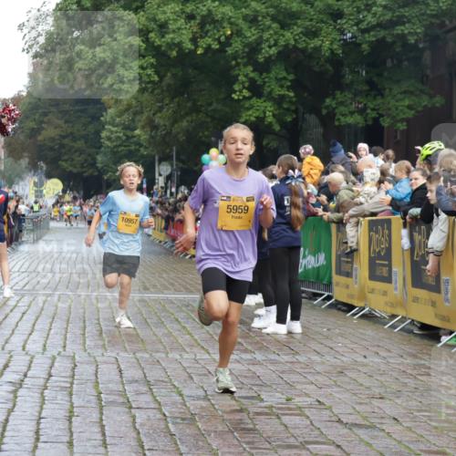 13.09.2026 - Kiel Lauf Yannick Fuchs http://msf.ph/oto/10277475 13.09.2026 08:50:35 Ziel 2443, 7511, 10359, 1710, 2909, 3167, 3487, 5168, 5258, 8786, 11542, 497, 2125, 3106, 5792, 5959, 9612, 10957, 10987, 5168, 5258 meine-sportfotos.de