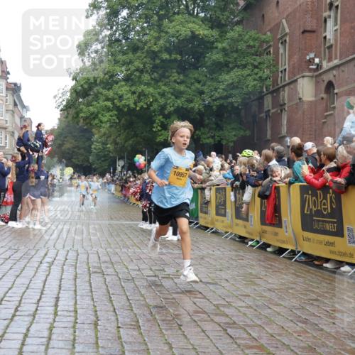 13.09.2026 - Kiel Lauf Yannick Fuchs http://msf.ph/oto/10277508 13.09.2026 08:50:36 Ziel 2443, 7511, 10359, 1710, 2909, 3167, 3487, 5168, 5258, 8786, 11542, 497, 2125, 3106, 5792, 5959, 9612, 10957, 10987, 5168, 5258 meine-sportfotos.de