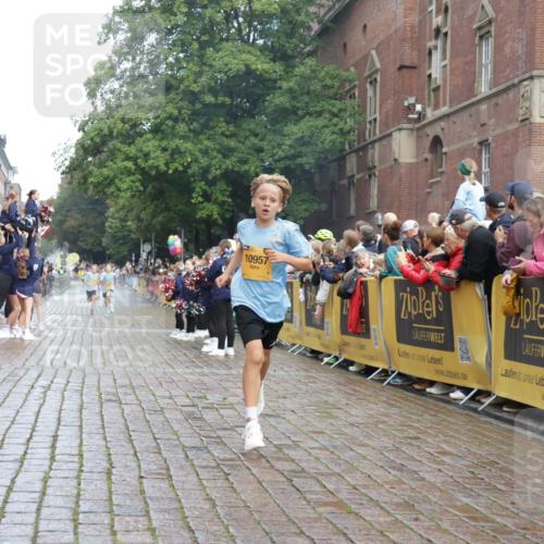 13.09.2026 - Kiel Lauf Yannick Fuchs http://msf.ph/oto/10277519 13.09.2026 08:50:37 Ziel 2443, 5792, 7511, 10359, 1710, 2909, 3167, 3487, 5168, 5258, 8786, 11542, 497, 2125, 3106, 5959, 9612, 10957, 10987, 5168, 5258 meine-sportfotos.de