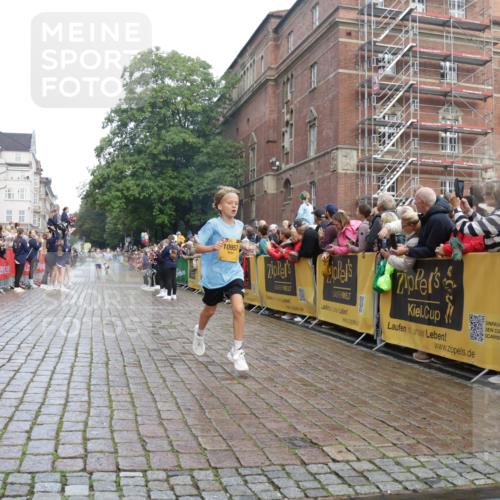 13.09.2026 - Kiel Lauf Yannick Fuchs http://msf.ph/oto/10277531 13.09.2026 08:50:37 Ziel 2443, 5792, 7511, 10359, 1710, 2909, 3167, 3487, 5168, 5258, 8786, 11542, 497, 2125, 3106, 5959, 9612, 10957, 10987, 5168, 5258 meine-sportfotos.de