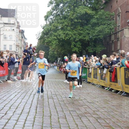 13.09.2026 - Kiel Lauf Yannick Fuchs http://msf.ph/oto/10277614 13.09.2026 08:50:41 Ziel 497, 2125, 2443, 3106, 5792, 7511, 9612, 1710, 2909, 3167, 3487, 8786, 10359, 11542, 496, 2343, 5959, 10957, 10987, 1710, 2909, 5168, 5258 meine-sportfotos.de