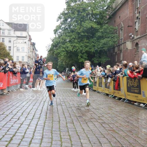 13.09.2026 - Kiel Lauf Yannick Fuchs http://msf.ph/oto/10277621 13.09.2026 08:50:41 Ziel 497, 2125, 2443, 3106, 5792, 7511, 9612, 1710, 2909, 3167, 3487, 8786, 10359, 11542, 496, 2343, 5959, 10957, 10987, 1710, 2909, 5168, 5258 meine-sportfotos.de