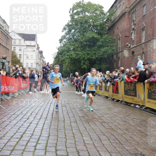 13.09.2026 - Kiel Lauf Yannick Fuchs http://msf.ph/oto/10277626 13.09.2026 08:50:41 Ziel 497, 2125, 2443, 3106, 5792, 7511, 9612, 1710, 2909, 3167, 3487, 8786, 10359, 11542, 496, 2343, 5959, 10957, 10987, 1710, 2909, 5168, 5258 meine-sportfotos.de