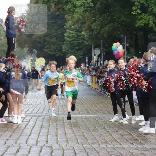 13.09.2026 - Kiel Lauf Yannick Fuchs http://msf.ph/oto/10277690 13.09.2026 08:50:47 Ziel 497, 2125, 3106, 5792, 5959, 9612, 10987, 2443, 3167, 3487, 7511, 10359, 11542, 496, 1724, 2343, 10957, 10970, 1710, 2909, 8786, 11542 meine-sportfotos.de