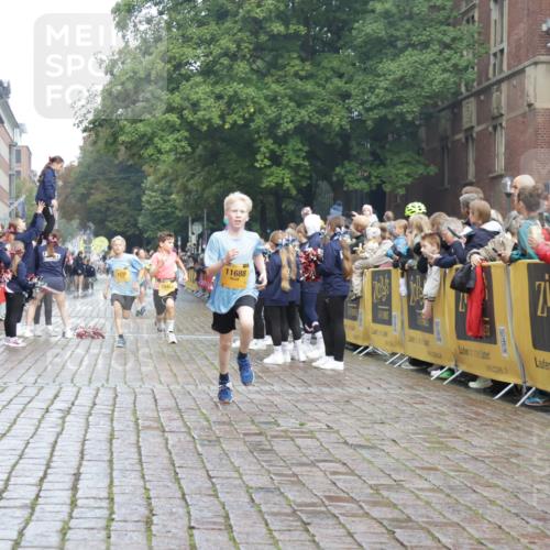 13.09.2026 - Kiel Lauf Yannick Fuchs http://msf.ph/oto/10277775 13.09.2026 08:50:52 Ziel 497, 2125, 3106, 5792, 5959, 9612, 10957, 10987, 2443, 3167, 3487, 5792, 7511, 10359, 496, 1724, 2343, 10463, 10970, 11688, 3167, 8786, 11542 meine-sportfotos.de