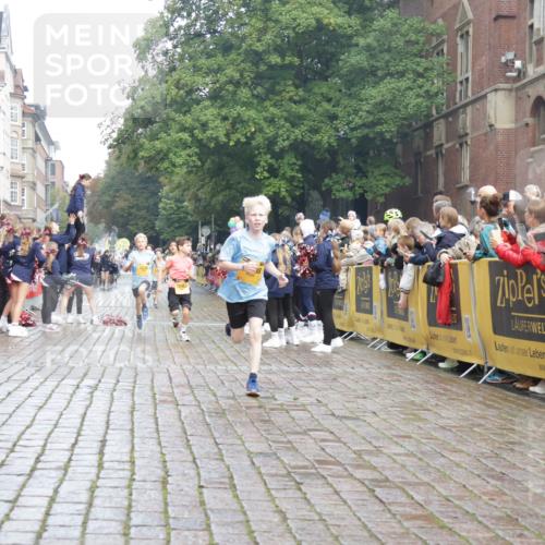 13.09.2026 - Kiel Lauf Yannick Fuchs http://msf.ph/oto/10277781 13.09.2026 08:50:53 Ziel 497, 2125, 3106, 5959, 9612, 10957, 10987, 2443, 3487, 5792, 7511, 10359, 496, 1238, 1724, 2343, 10463, 10970, 11688, 3167, 11542 meine-sportfotos.de