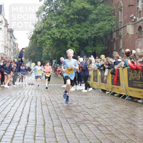 13.09.2026 - Kiel Lauf Yannick Fuchs http://msf.ph/oto/10277786 13.09.2026 08:50:53 Ziel 497, 2125, 3106, 5959, 9612, 10957, 10987, 2443, 3487, 5792, 7511, 10359, 496, 1238, 1724, 2343, 10463, 10970, 11688, 3167, 11542 meine-sportfotos.de