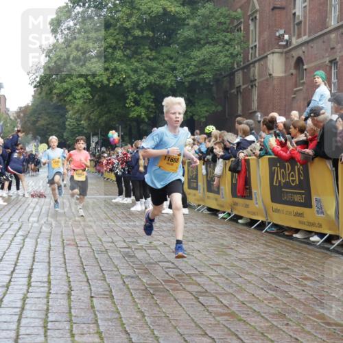 13.09.2026 - Kiel Lauf Yannick Fuchs http://msf.ph/oto/10277791 13.09.2026 08:50:53 Ziel 497, 2125, 3106, 5959, 9612, 10957, 10987, 2443, 3487, 5792, 7511, 10359, 496, 1238, 1724, 2343, 10463, 10970, 11688, 3167, 11542 meine-sportfotos.de