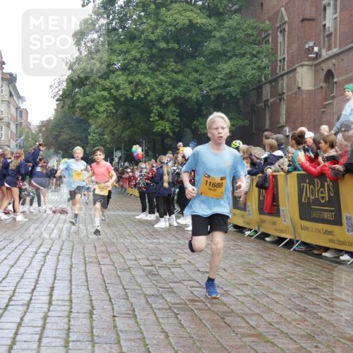 13.09.2026 - Kiel Lauf Yannick Fuchs http://msf.ph/oto/10277796 13.09.2026 08:50:53 Ziel 497, 2125, 3106, 5959, 9612, 10957, 10987, 2443, 3487, 5792, 7511, 10359, 496, 1238, 1724, 2343, 10463, 10970, 11688, 3167, 11542 meine-sportfotos.de