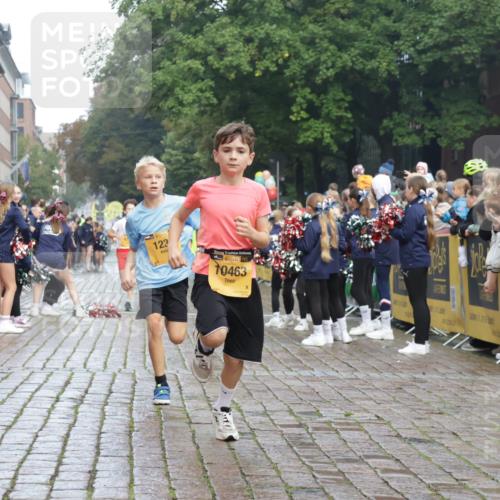 13.09.2026 - Kiel Lauf Yannick Fuchs http://msf.ph/oto/10277813 13.09.2026 08:50:54 Ziel 496, 497, 2125, 2343, 3106, 5959, 9612, 10957, 10987, 2443, 3487, 5792, 7511, 10359, 1238, 1724, 5010, 10463, 10970, 11688, 3167, 3487, 11542 meine-sportfotos.de