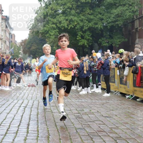 13.09.2026 - Kiel Lauf Yannick Fuchs http://msf.ph/oto/10277820 13.09.2026 08:50:55 Ziel 496, 497, 2125, 2343, 3106, 5959, 9612, 10957, 10987, 2125, 2443, 3106, 3487, 5792, 7511, 10359, 1238, 1724, 5010, 7033, 10463, 10970, 11688, 3167, 3487 meine-sportfotos.de