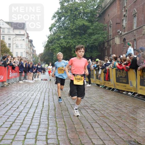 13.09.2026 - Kiel Lauf Yannick Fuchs http://msf.ph/oto/10277839 13.09.2026 08:50:55 Ziel 496, 497, 2125, 2343, 3106, 5959, 9612, 10957, 10987, 2125, 2443, 3106, 3487, 5792, 7511, 10359, 1238, 1724, 5010, 7033, 10463, 10970, 11688, 3167, 3487 meine-sportfotos.de