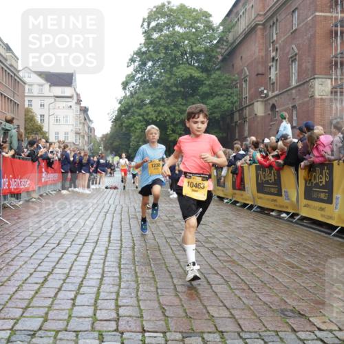 13.09.2026 - Kiel Lauf Yannick Fuchs http://msf.ph/oto/10277846 13.09.2026 08:50:55 Ziel 496, 497, 2125, 2343, 3106, 5959, 9612, 10957, 10987, 2125, 2443, 3106, 3487, 5792, 7511, 10359, 1238, 1724, 5010, 7033, 10463, 10970, 11688, 3167, 3487 meine-sportfotos.de