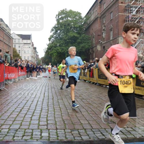 13.09.2026 - Kiel Lauf Yannick Fuchs http://msf.ph/oto/10277866 13.09.2026 08:50:56 Ziel 496, 497, 2343, 5959, 9612, 10957, 10987, 497, 2125, 2443, 3106, 3487, 5792, 7511, 9612, 10359, 1238, 1724, 4159, 5010, 7033, 10463, 10970, 11688, 3167, 3487 meine-sportfotos.de