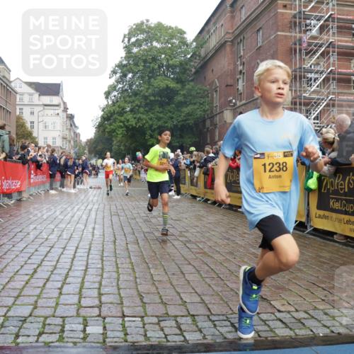 13.09.2026 - Kiel Lauf Yannick Fuchs http://msf.ph/oto/10277880 13.09.2026 08:50:56 Ziel 496, 497, 2343, 5959, 9612, 10957, 10987, 497, 2125, 2443, 3106, 3487, 5792, 7511, 9612, 10359, 1238, 1724, 4159, 5010, 7033, 10463, 10970, 11688, 3167, 3487 meine-sportfotos.de