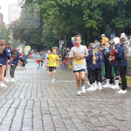 13.09.2026 - Kiel Lauf Yannick Fuchs http://msf.ph/oto/10277964 13.09.2026 08:51:00 Ziel 496, 2343, 5959, 10957, 497, 2125, 2443, 3106, 5792, 7511, 9612, 10359, 10987, 909, 1238, 1724, 3683, 4159, 5010, 7033, 10463, 10970, 11688, 3487 meine-sportfotos.de