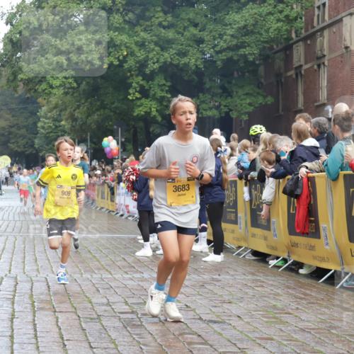 13.09.2026 - Kiel Lauf Yannick Fuchs http://msf.ph/oto/10277976 13.09.2026 08:51:02 Ziel 496, 1724, 2343, 5959, 10957, 10970, 497, 2125, 2443, 3106, 5792, 5959, 7511, 9612, 10359, 10987, 909, 1238, 3683, 4159, 4741, 5010, 5211, 7033, 10463, 11688, 3487, 10359 meine-sportfotos.de