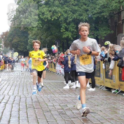 13.09.2026 - Kiel Lauf Yannick Fuchs http://msf.ph/oto/10277982 13.09.2026 08:51:02 Ziel 496, 1724, 2343, 5959, 10957, 10970, 497, 2125, 2443, 3106, 5792, 5959, 7511, 9612, 10359, 10987, 909, 1238, 3683, 4159, 4741, 5010, 5211, 7033, 10463, 11688, 3487, 10359 meine-sportfotos.de