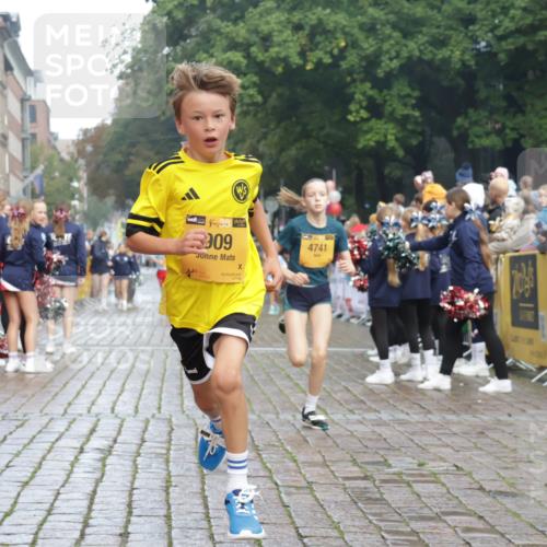 13.09.2026 - Kiel Lauf Yannick Fuchs http://msf.ph/oto/10277998 13.09.2026 08:51:03 Ziel 496, 1724, 2343, 10957, 10970, 497, 2125, 2443, 3106, 5792, 5959, 7511, 9612, 10359, 10987, 909, 1238, 3683, 4159, 4741, 5010, 5211, 7033, 10463, 11688, 3487, 10359 meine-sportfotos.de