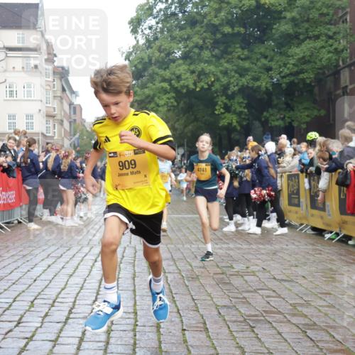 13.09.2026 - Kiel Lauf Yannick Fuchs http://msf.ph/oto/10278010 13.09.2026 08:51:03 Ziel 496, 1724, 2343, 10957, 10970, 497, 2125, 2443, 3106, 5792, 5959, 7511, 9612, 10359, 10987, 909, 1238, 3683, 4159, 4741, 5010, 5211, 7033, 10463, 11688, 3487, 10359 meine-sportfotos.de