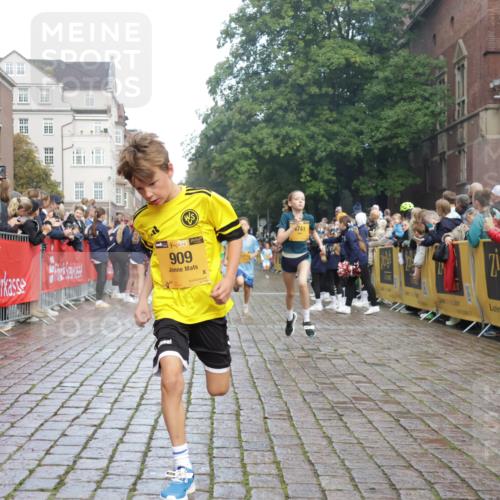 13.09.2026 - Kiel Lauf Yannick Fuchs http://msf.ph/oto/10278015 13.09.2026 08:51:03 Ziel 496, 1724, 2343, 10957, 10970, 497, 2125, 2443, 3106, 5792, 5959, 7511, 9612, 10359, 10987, 909, 1238, 3683, 4159, 4741, 5010, 5211, 7033, 10463, 11688, 3487, 10359 meine-sportfotos.de