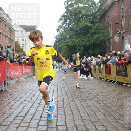 13.09.2026 - Kiel Lauf Yannick Fuchs http://msf.ph/oto/10278020 13.09.2026 08:51:03 Ziel 496, 1724, 2343, 10957, 10970, 497, 2125, 2443, 3106, 5792, 5959, 7511, 9612, 10359, 10987, 909, 1238, 3683, 4159, 4741, 5010, 5211, 7033, 10463, 11688, 3487, 10359 meine-sportfotos.de