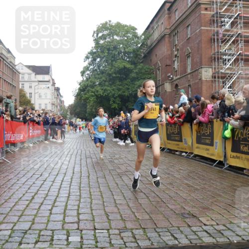 13.09.2026 - Kiel Lauf Yannick Fuchs http://msf.ph/oto/10278048 13.09.2026 08:51:05 Ziel 496, 1724, 2343, 10970, 497, 2125, 2443, 3106, 5792, 5959, 7511, 9612, 10957, 10987, 909, 1238, 3683, 4159, 4741, 5010, 5211, 7033, 8883, 10463, 11688, 7511, 10359 meine-sportfotos.de