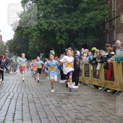 13.09.2026 - Kiel Lauf Yannick Fuchs http://msf.ph/oto/10278087 13.09.2026 08:51:07 Ziel 496, 1724, 2343, 10463, 10970, 11688, 497, 2125, 2443, 3106, 5792, 5959, 7511, 9612, 10957, 10987, 444, 909, 1238, 3683, 4159, 4741, 5010, 5211, 5439, 7033, 8883, 9929, 7511, 10359 meine-sportfotos.de