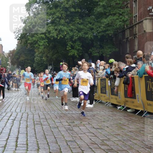 13.09.2026 - Kiel Lauf Yannick Fuchs http://msf.ph/oto/10278092 13.09.2026 08:51:07 Ziel 496, 1724, 2343, 10463, 10970, 11688, 497, 2125, 2443, 3106, 5792, 5959, 7511, 9612, 10957, 10987, 444, 909, 1238, 3683, 4159, 4741, 5010, 5211, 5439, 7033, 8883, 9929, 7511, 10359 meine-sportfotos.de