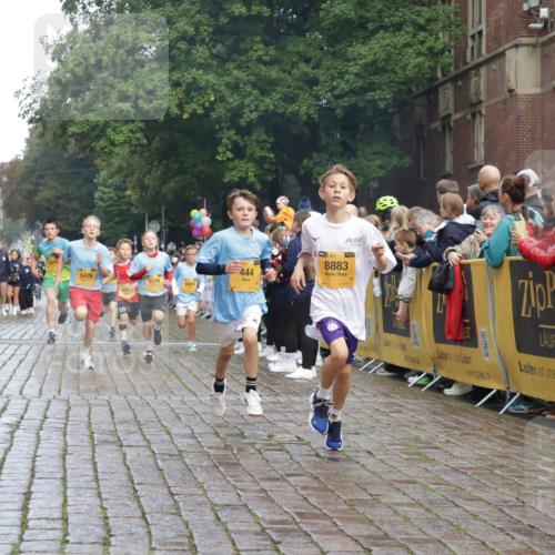 13.09.2026 - Kiel Lauf Yannick Fuchs http://msf.ph/oto/10278105 13.09.2026 08:51:08 Ziel 496, 1238, 1724, 2343, 10463, 10970, 11688, 497, 2125, 2443, 3106, 5792, 5959, 7511, 9612, 10957, 10987, 444, 909, 3683, 4159, 4741, 5010, 5211, 5439, 7033, 8657, 8883, 9379, 9929, 2443, 7511, 10359 meine-sportfotos.de