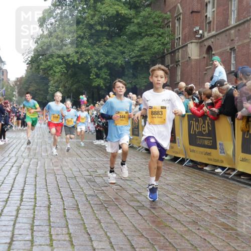 13.09.2026 - Kiel Lauf Yannick Fuchs http://msf.ph/oto/10278128 13.09.2026 08:51:08 Ziel 496, 1238, 1724, 2343, 10463, 10970, 11688, 497, 2125, 2443, 3106, 5792, 5959, 7511, 9612, 10957, 10987, 444, 909, 3683, 4159, 4741, 5010, 5211, 5439, 7033, 8657, 8883, 9379, 9929, 2443, 7511, 10359 meine-sportfotos.de