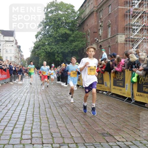 13.09.2026 - Kiel Lauf Yannick Fuchs http://msf.ph/oto/10278140 13.09.2026 08:51:08 Ziel 496, 1238, 1724, 2343, 10463, 10970, 11688, 497, 2125, 2443, 3106, 5792, 5959, 7511, 9612, 10957, 10987, 444, 909, 3683, 4159, 4741, 5010, 5211, 5439, 7033, 8657, 8883, 9379, 9929, 2443, 7511, 10359 meine-sportfotos.de
