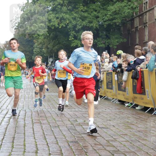 13.09.2026 - Kiel Lauf Yannick Fuchs http://msf.ph/oto/10278157 13.09.2026 08:51:09 Ziel 496, 1238, 1724, 2343, 5010, 10463, 10970, 11688, 496, 497, 2125, 2343, 2443, 3106, 5792, 5959, 9612, 10957, 10987, 444, 909, 3683, 4159, 4741, 5211, 5439, 6699, 7033, 8657, 8883, 9379, 9929, 2443, 7511, 10359 meine-sportfotos.de