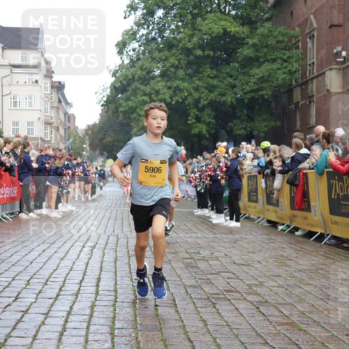 13.09.2026 - Kiel Lauf Yannick Fuchs http://msf.ph/oto/10278233 13.09.2026 08:51:13 Ziel 1238, 1724, 4159, 5010, 7033, 10463, 10970, 11688, 496, 497, 2125, 2343, 3106, 5792, 5959, 9612, 10957, 10987, 444, 909, 1243, 3683, 4741, 5211, 5439, 5906, 6699, 8206, 8657, 8883, 9379, 9929, 2443, 7511 meine-sportfotos.de