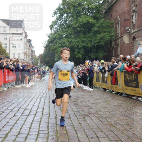 13.09.2026 - Kiel Lauf Yannick Fuchs http://msf.ph/oto/10278239 13.09.2026 08:51:13 Ziel 1238, 1724, 4159, 5010, 7033, 10463, 10970, 11688, 496, 497, 2125, 2343, 3106, 5792, 5959, 9612, 10957, 10987, 444, 909, 1243, 3683, 4741, 5211, 5439, 5906, 6699, 8206, 8657, 8883, 9379, 9929, 2443, 7511 meine-sportfotos.de
