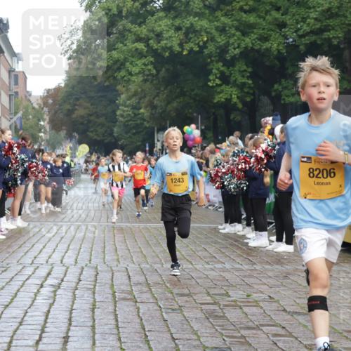 13.09.2026 - Kiel Lauf Yannick Fuchs http://msf.ph/oto/10278262 13.09.2026 08:51:14 Ziel 1238, 1724, 4159, 5010, 7033, 10463, 10970, 11688, 496, 497, 2125, 2343, 3106, 5792, 5959, 9612, 10957, 10987, 444, 909, 1243, 3683, 4741, 5211, 5439, 5906, 6699, 8206, 8657, 8883, 9379, 9929, 2443, 5792, 7511 meine-sportfotos.de