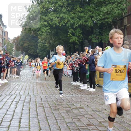 13.09.2026 - Kiel Lauf Yannick Fuchs http://msf.ph/oto/10278267 13.09.2026 08:51:14 Ziel 1238, 1724, 4159, 5010, 7033, 10463, 10970, 11688, 496, 497, 2125, 2343, 3106, 5792, 5959, 9612, 10957, 10987, 444, 909, 1243, 3683, 4741, 5211, 5439, 5906, 6699, 8206, 8657, 8883, 9379, 9929, 2443, 5792, 7511 meine-sportfotos.de