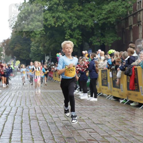 13.09.2026 - Kiel Lauf Yannick Fuchs http://msf.ph/oto/10278273 13.09.2026 08:51:15 Ziel 909, 1238, 1724, 3683, 4159, 5010, 7033, 10463, 10970, 11688, 496, 497, 2125, 2343, 3106, 5792, 5959, 9612, 10957, 10987, 444, 1243, 4741, 5211, 5439, 5793, 5906, 6699, 8206, 8657, 8883, 9379, 9929, 2443, 5792, 7511 meine-sportfotos.de