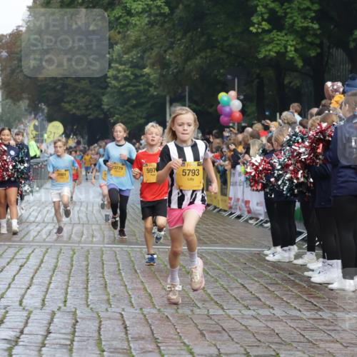 13.09.2026 - Kiel Lauf Yannick Fuchs http://msf.ph/oto/10278294 13.09.2026 08:51:16 Ziel 909, 1238, 1724, 3683, 4159, 4741, 5010, 7033, 10463, 10970, 11688, 496, 497, 2125, 2343, 3106, 5792, 5959, 9612, 10957, 10987, 444, 1243, 5211, 5439, 5793, 5906, 6699, 8206, 8657, 8883, 9379, 9929, 2443, 5792 meine-sportfotos.de