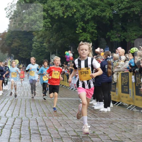 13.09.2026 - Kiel Lauf Yannick Fuchs http://msf.ph/oto/10278312 13.09.2026 08:51:17 Ziel 909, 1238, 1724, 3683, 4159, 4741, 5010, 5211, 7033, 10463, 10970, 11688, 496, 497, 1724, 2125, 2343, 3106, 5792, 5959, 9612, 10957, 10970, 10987, 444, 1243, 5439, 5793, 5906, 5976, 6699, 8206, 8657, 8883, 9379, 9929, 2125, 2443, 3106, 5792 meine-sportfotos.de