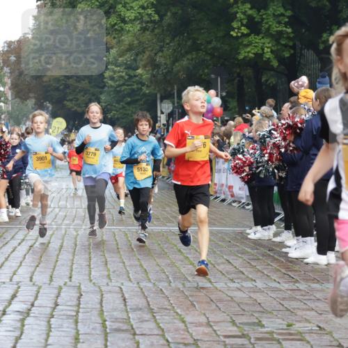 13.09.2026 - Kiel Lauf Yannick Fuchs http://msf.ph/oto/10278322 13.09.2026 08:51:18 Ziel 909, 1238, 3683, 4159, 4741, 5010, 5211, 7033, 10463, 11688, 496, 497, 1724, 2125, 2343, 3106, 5959, 9612, 10957, 10970, 10987, 444, 1243, 3901, 5130, 5439, 5793, 5906, 5976, 6699, 8206, 8657, 8883, 9379, 9929, 497, 2125, 2443, 3106, 5792, 9612 meine-sportfotos.de