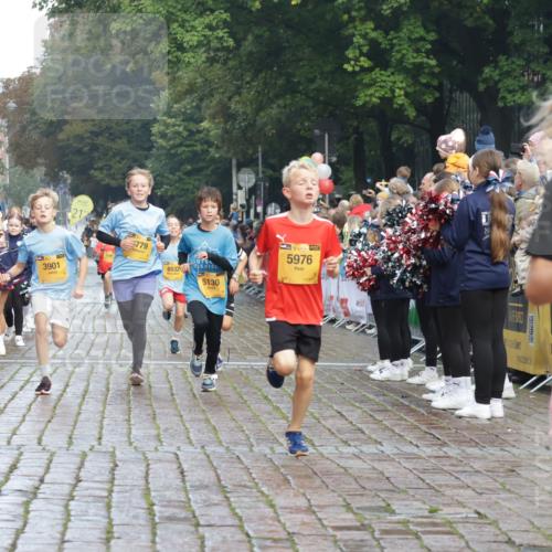 13.09.2026 - Kiel Lauf Yannick Fuchs http://msf.ph/oto/10278328 13.09.2026 08:51:18 Ziel 909, 1238, 3683, 4159, 4741, 5010, 5211, 7033, 10463, 11688, 496, 497, 1724, 2125, 2343, 3106, 5959, 9612, 10957, 10970, 10987, 444, 1243, 3901, 5130, 5439, 5793, 5906, 5976, 6699, 8206, 8657, 8883, 9379, 9929, 497, 2125, 2443, 3106, 5792, 9612 meine-sportfotos.de