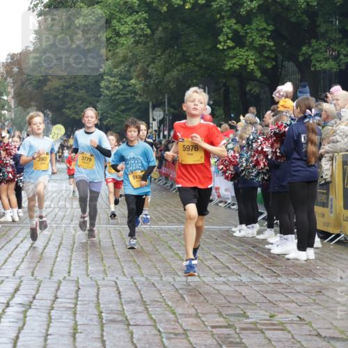 13.09.2026 - Kiel Lauf Yannick Fuchs http://msf.ph/oto/10278333 13.09.2026 08:51:18 Ziel 909, 1238, 3683, 4159, 4741, 5010, 5211, 7033, 10463, 11688, 496, 497, 1724, 2125, 2343, 3106, 5959, 9612, 10957, 10970, 10987, 444, 1243, 3901, 5130, 5439, 5793, 5906, 5976, 6699, 8206, 8657, 8883, 9379, 9929, 497, 2125, 2443, 3106, 5792, 9612 meine-sportfotos.de