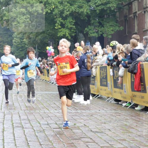 13.09.2026 - Kiel Lauf Yannick Fuchs http://msf.ph/oto/10278345 13.09.2026 08:51:19 Ziel 909, 1238, 3683, 4159, 4741, 5010, 5211, 7033, 10463, 11688, 496, 497, 1724, 2125, 2343, 3106, 5959, 9612, 10957, 10970, 10987, 444, 1243, 3779, 3901, 5130, 5439, 5793, 5906, 5976, 6699, 8206, 8538, 8657, 8883, 9379, 9929, 497, 2125, 3106, 5792, 9612, 10987 meine-sportfotos.de