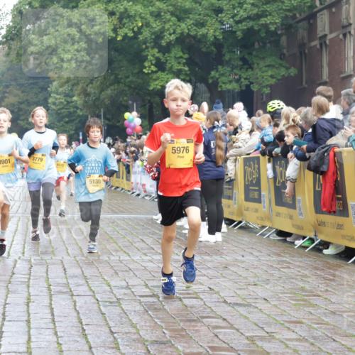 13.09.2026 - Kiel Lauf Yannick Fuchs http://msf.ph/oto/10278350 13.09.2026 08:51:19 Ziel 909, 1238, 3683, 4159, 4741, 5010, 5211, 7033, 10463, 11688, 496, 497, 1724, 2125, 2343, 3106, 5959, 9612, 10957, 10970, 10987, 444, 1243, 3779, 3901, 5130, 5439, 5793, 5906, 5976, 6699, 8206, 8538, 8657, 8883, 9379, 9929, 497, 2125, 3106, 5792, 9612, 10987 meine-sportfotos.de