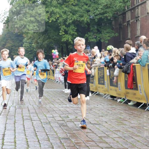 13.09.2026 - Kiel Lauf Yannick Fuchs http://msf.ph/oto/10278356 13.09.2026 08:51:19 Ziel 909, 1238, 3683, 4159, 4741, 5010, 5211, 7033, 10463, 11688, 496, 497, 1724, 2125, 2343, 3106, 5959, 9612, 10957, 10970, 10987, 444, 1243, 3779, 3901, 5130, 5439, 5793, 5906, 5976, 6699, 8206, 8538, 8657, 8883, 9379, 9929, 497, 2125, 3106, 5792, 9612, 10987 meine-sportfotos.de