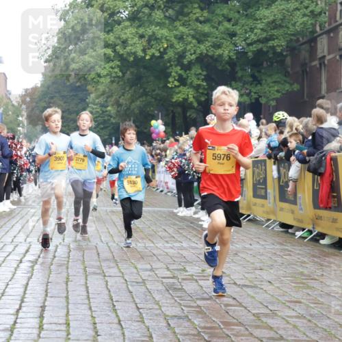 13.09.2026 - Kiel Lauf Yannick Fuchs http://msf.ph/oto/10278360 13.09.2026 08:51:19 Ziel 909, 1238, 3683, 4159, 4741, 5010, 5211, 7033, 10463, 11688, 496, 497, 1724, 2125, 2343, 3106, 5959, 9612, 10957, 10970, 10987, 444, 1243, 3779, 3901, 5130, 5439, 5793, 5906, 5976, 6699, 8206, 8538, 8657, 8883, 9379, 9929, 497, 2125, 3106, 5792, 9612, 10987 meine-sportfotos.de