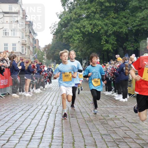 13.09.2026 - Kiel Lauf Yannick Fuchs http://msf.ph/oto/10278367 13.09.2026 08:51:20 Ziel 909, 1238, 3683, 4159, 4741, 5010, 5211, 7033, 8883, 10463, 11688, 496, 497, 1724, 2125, 2343, 3106, 5959, 9612, 10957, 10970, 10987, 444, 1243, 3779, 3901, 5130, 5439, 5793, 5906, 5976, 6532, 6699, 7521, 8206, 8538, 8657, 9379, 9929, 497, 2125, 3106, 5792, 9612, 10987 meine-sportfotos.de