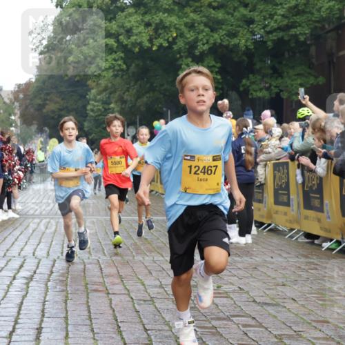 13.09.2026 - Kiel Lauf Yannick Fuchs http://msf.ph/oto/10278452 13.09.2026 08:51:25 Ziel 444, 909, 3683, 4159, 4741, 5211, 5439, 5906, 6699, 7033, 8657, 8883, 9379, 9929, 496, 1238, 1724, 2343, 5010, 5959, 7033, 10463, 10957, 10970, 11688, 1210, 1243, 3779, 3901, 5130, 5580, 5793, 5976, 6532, 7521, 8206, 8538, 11448, 12467, 497, 2125, 3106, 5959, 9612, 10987 meine-sportfotos.de